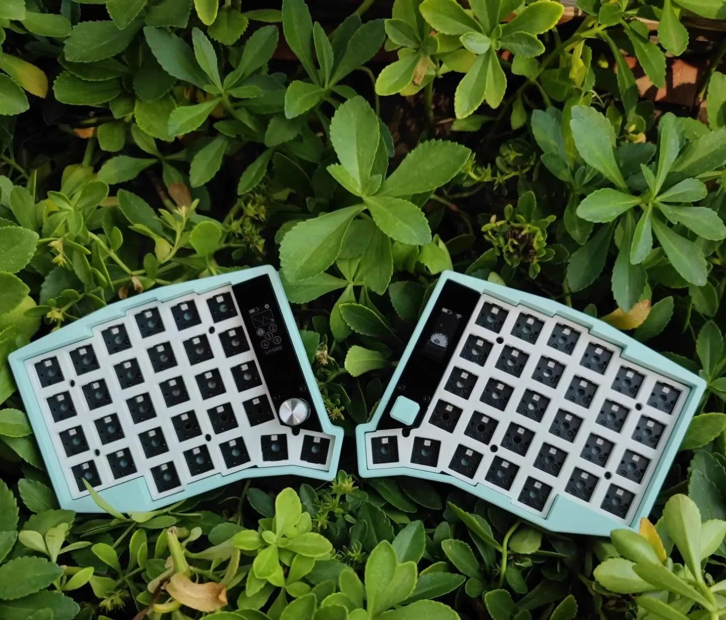 Teclado Mecânico Dividido Sem Fio SHIMANG – Inovação, Ergonomia e Liberdade Total