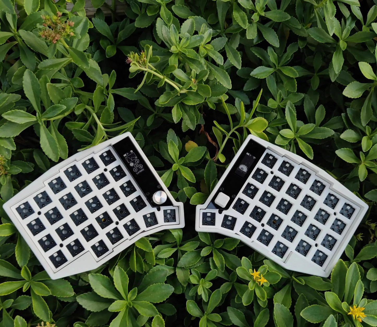 Teclado Mecânico Dividido Sem Fio SHIMANG – Inovação, Ergonomia e Liberdade Total